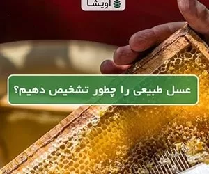 ویژگی‌ های عسل طبیعی چیست؟ ازکجا بخریم؟