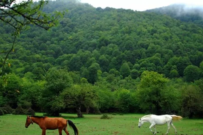 جاده زیبای الیمستان