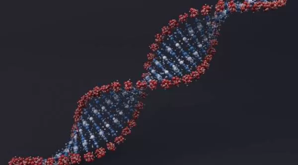 آزمایش dna در بارداری