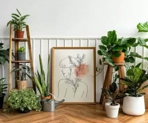گیاهان آپارتمانی که تو خونه خراب نمیشن