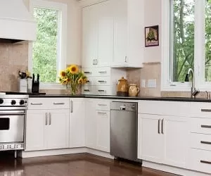 آشنایی با بهترین روش ها برای تمیز و ایمن نگه داشتن آشپزخانه