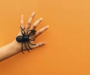 16 روش طبیعی و گیاهی برای دفع همه عنکبوت ها از خانه