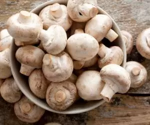 غذا با قارچ و طرز تهیه دو نوع غذای لذیذ با قارچ در کمترین زمان