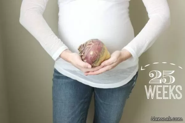 وزن و اندازه جنین در حاملگی