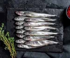 خواص بسیار عالی ماهی ساردین و مزایای شگفت انگیر مصرف ساردین
