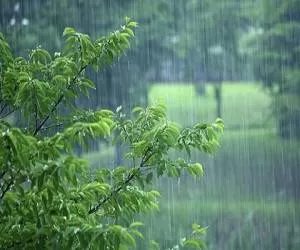 تداوم بارش باران و وزش باد شدید در برخی نقاط کشور