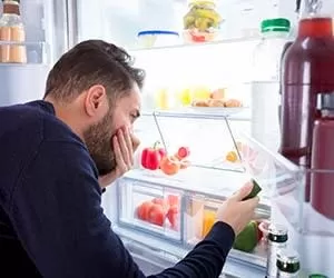باکتری‌ها، ما و یخچال؛ چرا غذا‌ها داخل یخچال خراب می‌شوند؟