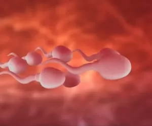 12 عادت روزانه مردان که موجب نابودی اسپرم و باروری می شود