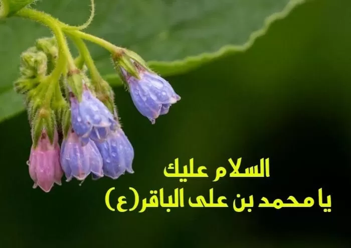 امام محمد باقر