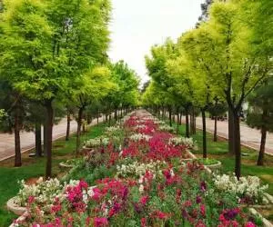 معرفی باغ جنت شیراز از جاذبه های دیدنی شهر شیراز