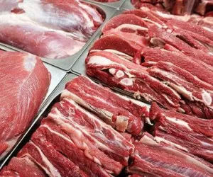 قیمت گوشت قرمز کاهش یافت