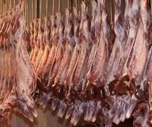 قیمت گوشت قرمز در شب عید اعلام شد