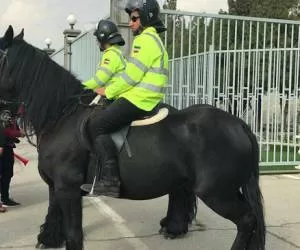 پلیس های اسب سوار در ورزشگاه آزادی + تصاویر