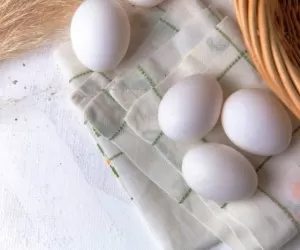 10 کشور برتر جهان در تولید تخم مرغ + آمار سالانه