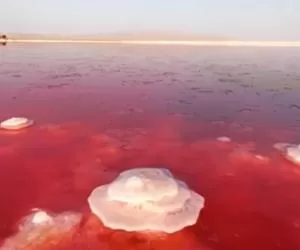 دریاچه قرمز ایران؛ دریاچه مهارلو شیراز کجاست؟