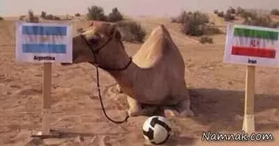 پیش بینی بازی ایران و آرژانتین در جام جهانی برزیل