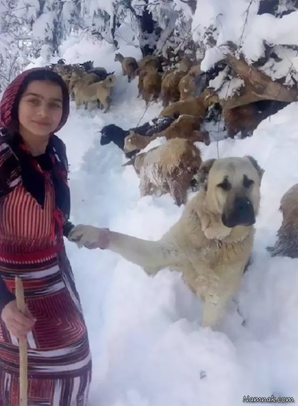 دختر ترکیه ای و سگش