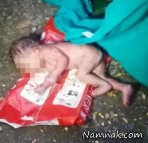 تصاویر زنده زنده خوردن نوزاد دختر توسط مورچه ها