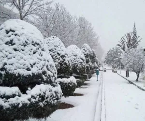 بارش‌های زمستانی تهران در حد نرمال