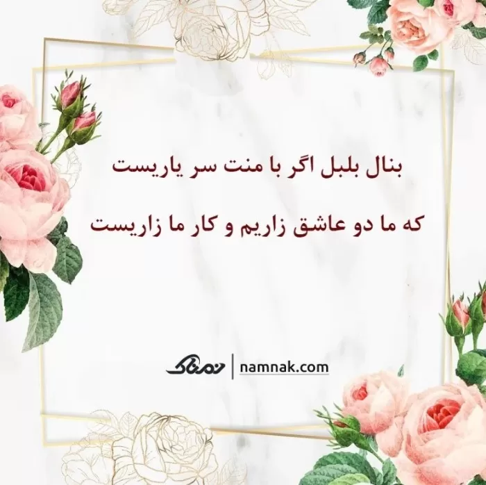 فال حافظ پلاس وی