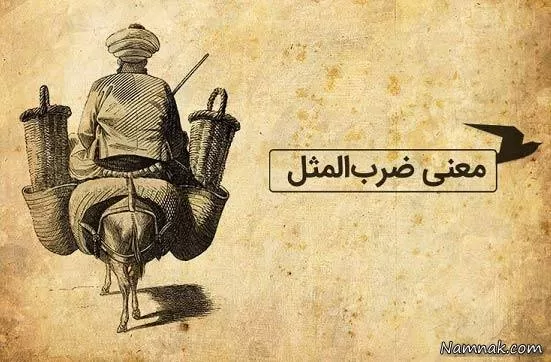 زاغ سیاه