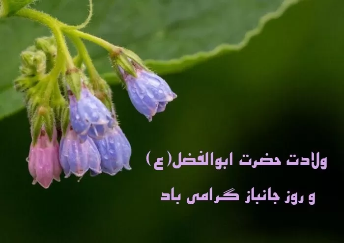 تبریک ولادت حضرت عباس (ع)