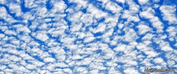 Cumulus clouds