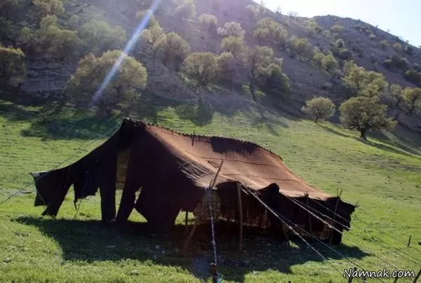 سوئیس ایران