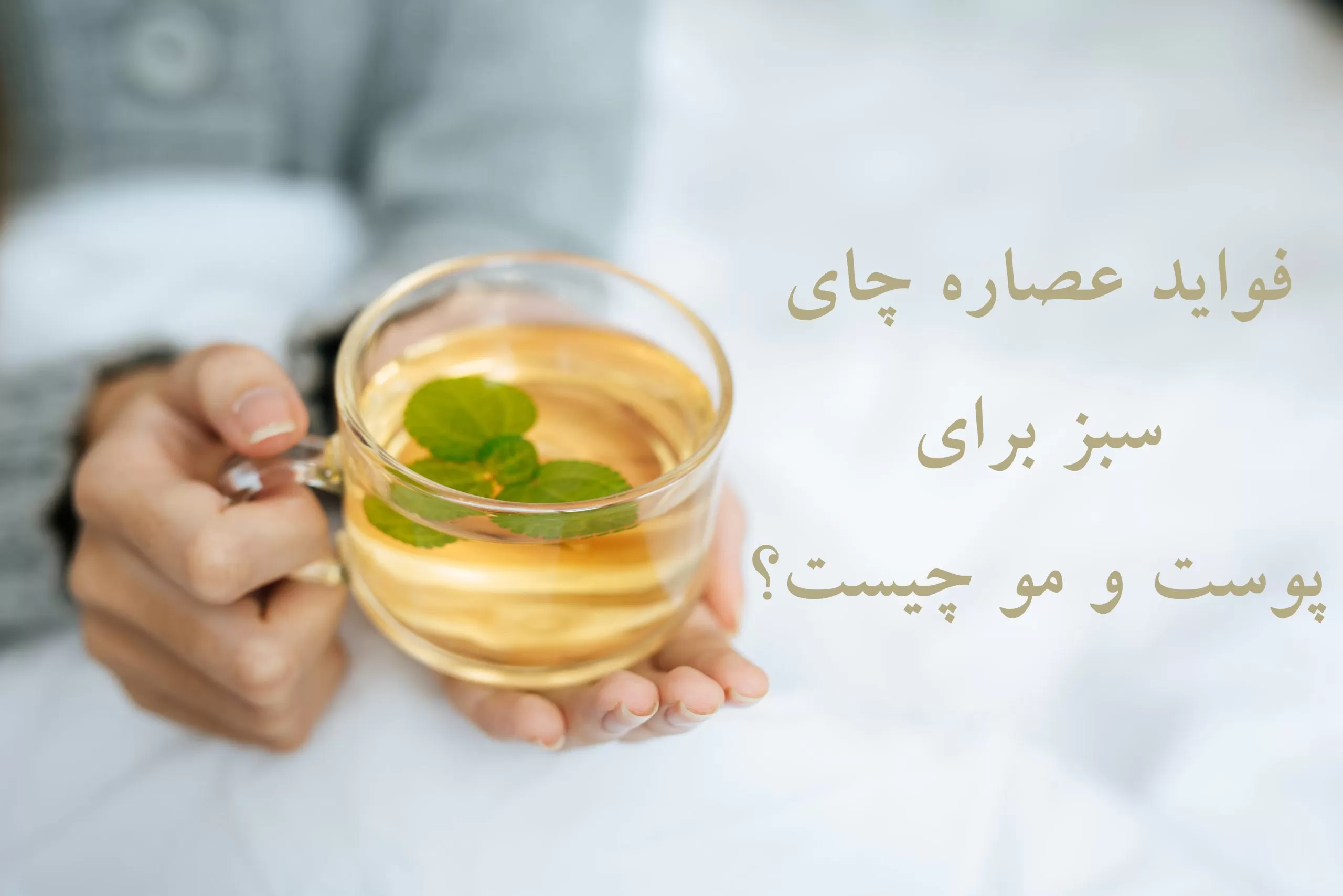 خواص چای سبز برای از بین بردن جوش و آکنه چیست؟
