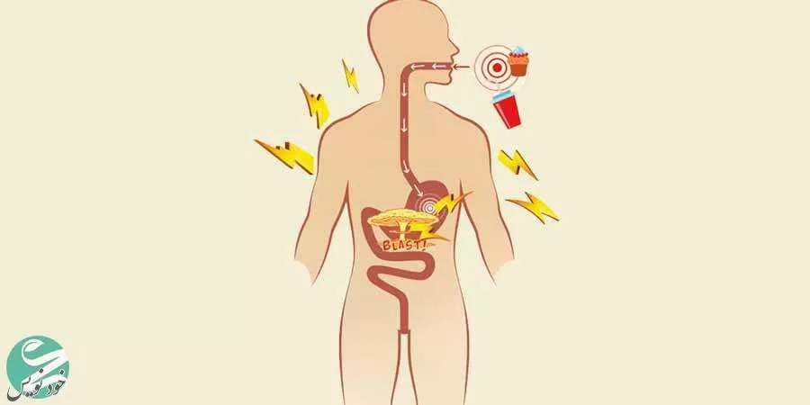 متابولیسم چیست و چطور کار میکند؟|بهترین و بدترین غذاها برای افزایش متابولیسم