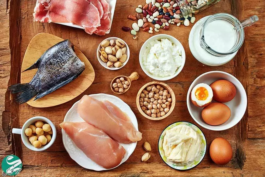 آیا مصرف زیاد پروتئین برای سلامتی ضرر دارد؟ |چرا مصرف پروتئین مهم است؟