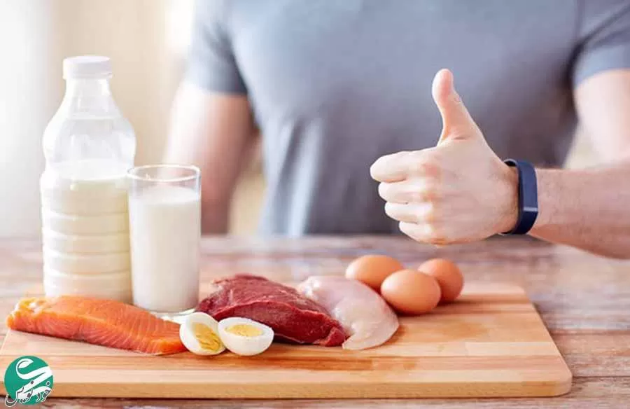 آیا مصرف زیاد پروتئین برای سلامتی ضرر دارد؟ |چرا مصرف پروتئین مهم است؟