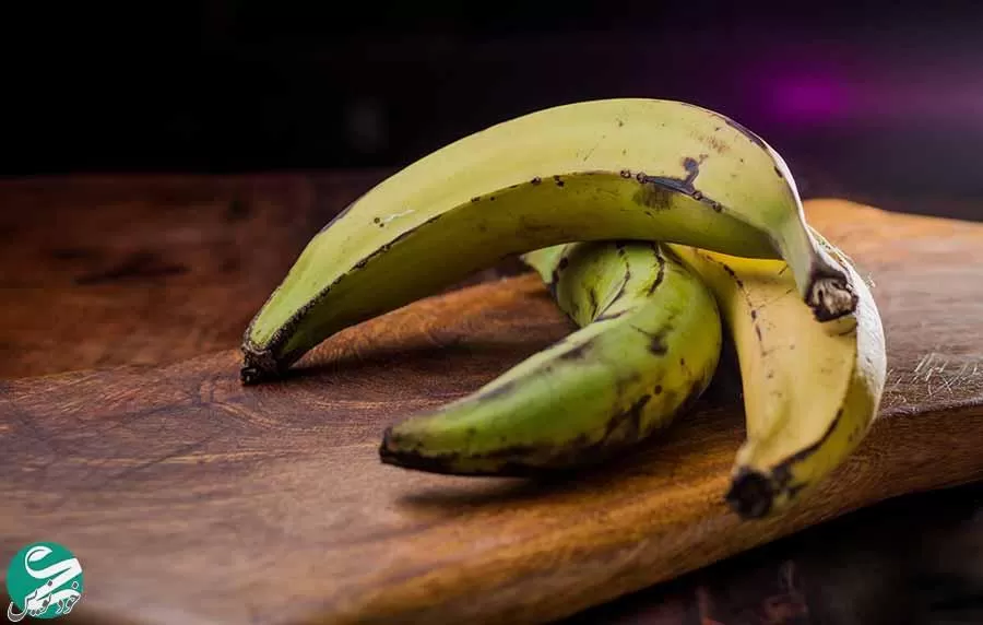 پلانتین چیست و میوه «پلانتین» چه تفاوتی با موز دارد؟ + عکس