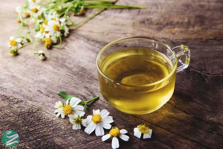 15 خواص و فایده چای بابونه برای سلامتی +مواد مغذی چای بابونه