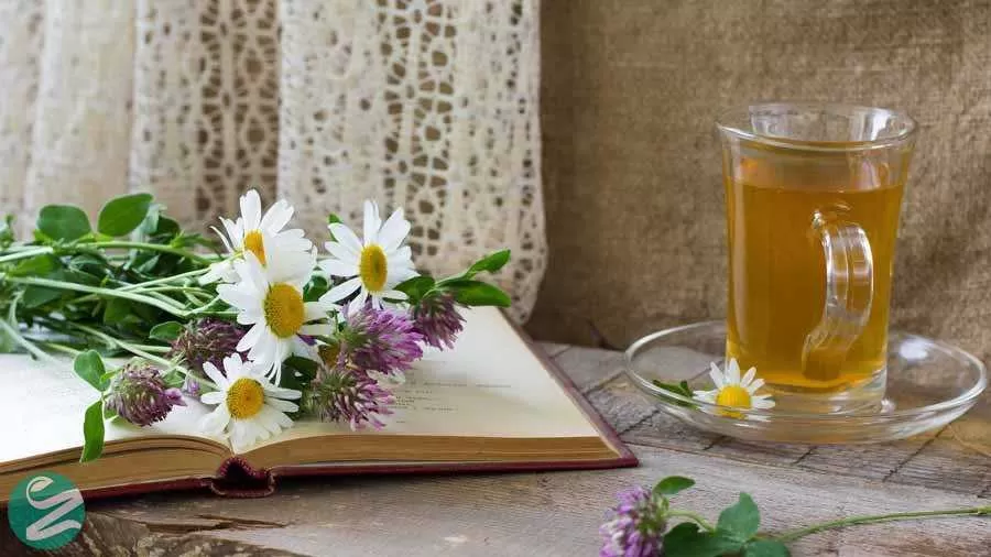 15 خواص و فایده چای بابونه برای سلامتی +مواد مغذی چای بابونه