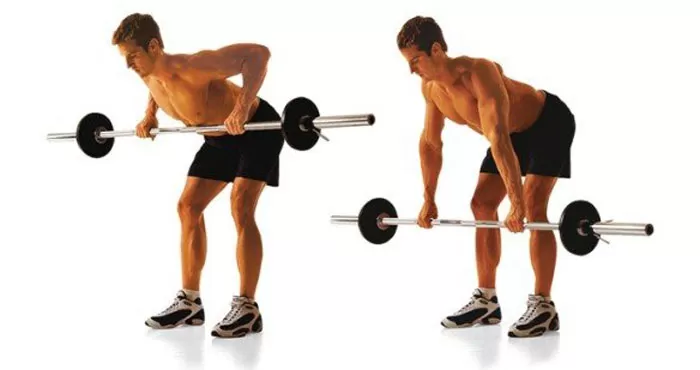 ورزش های تقویت عضلات کمر | بهترین ورزش های کمر + تصویری